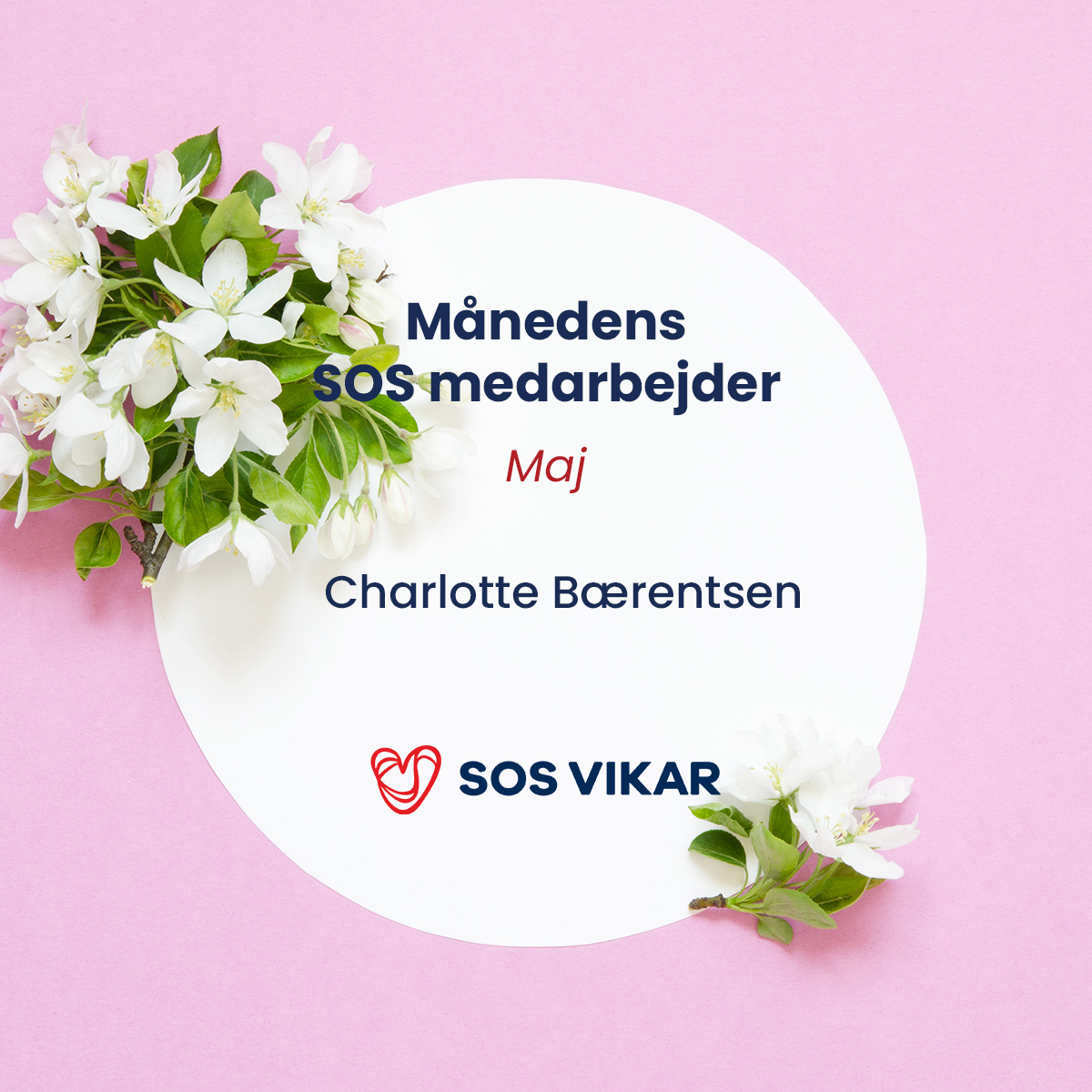 Månedens vikar