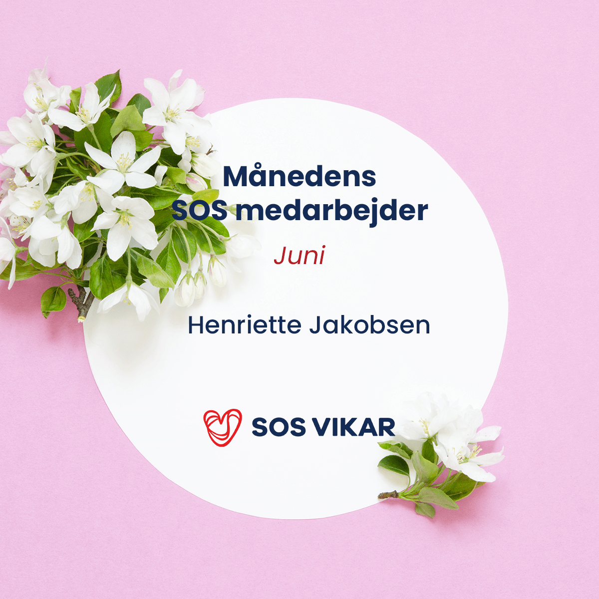 Månedens vikar