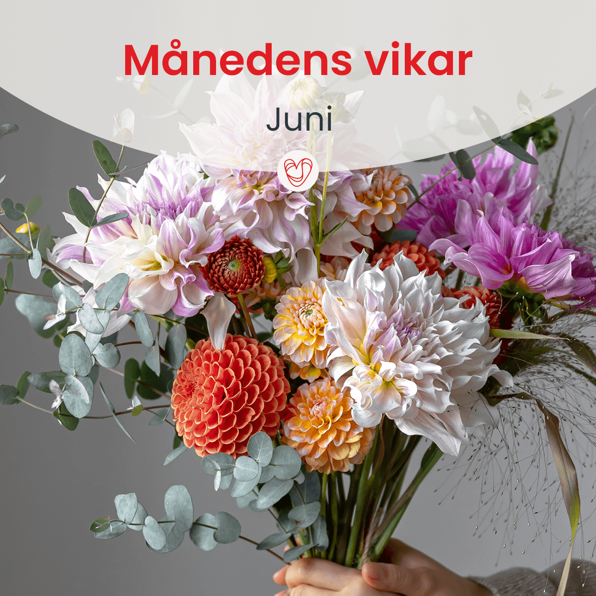 Månedens vikar juni Månedens vikar juni
