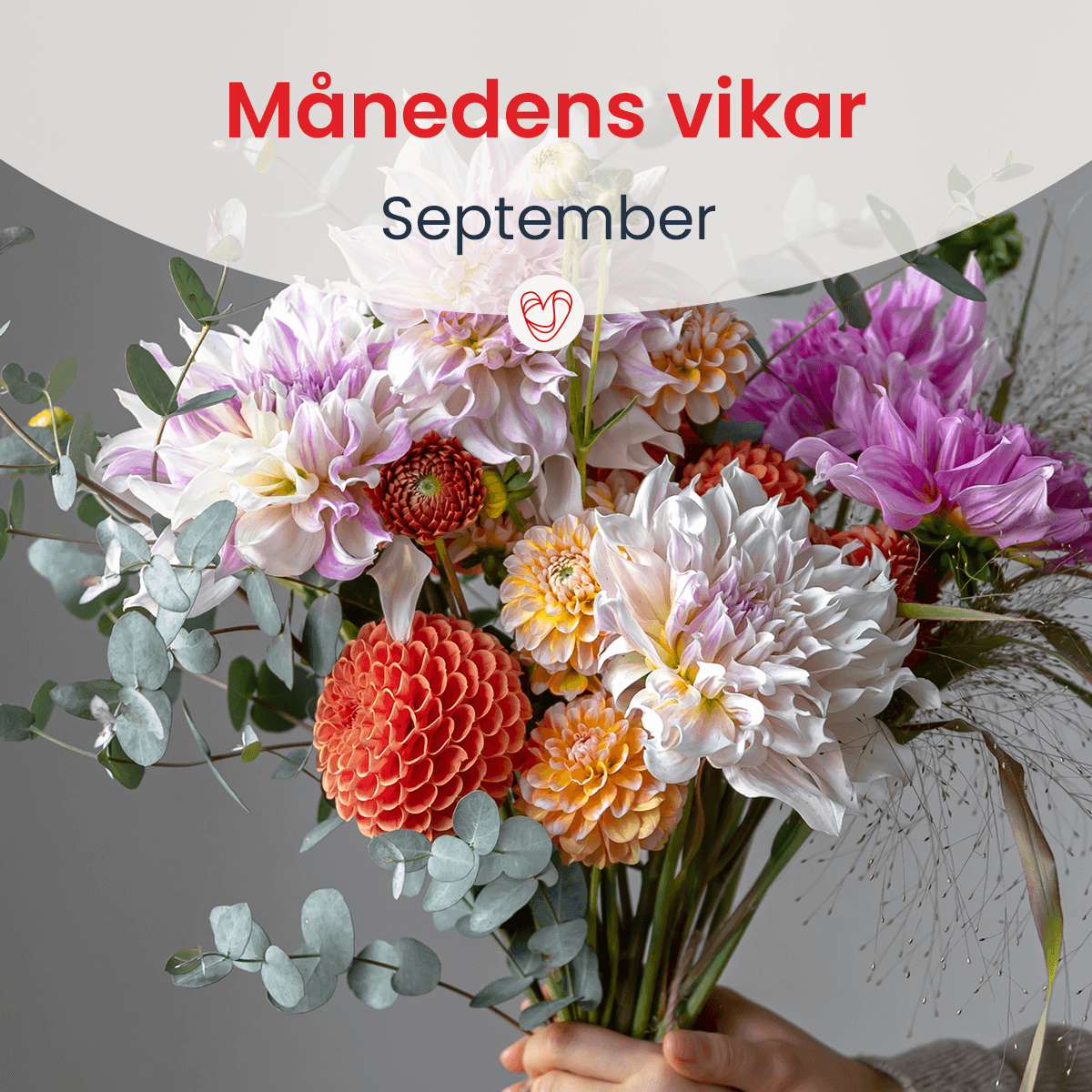 Månedens vikar-sep23