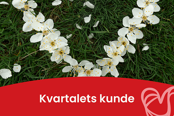 kvartallet-kunde Kvartalets kunde - SOS VIKAR